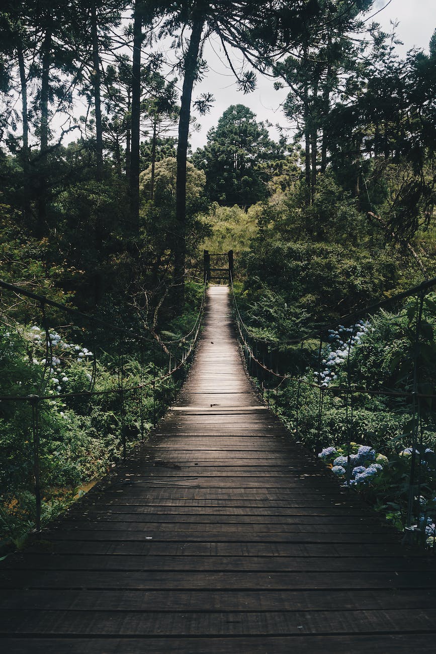L’ultime chemin.