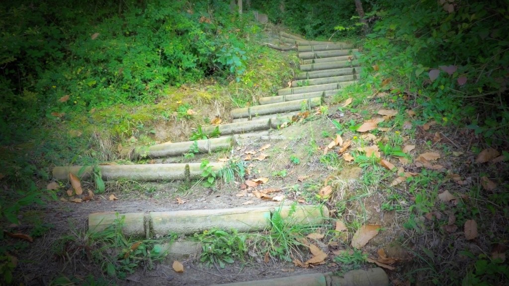 Quand le silence intérieur devient un&nbsp;guide