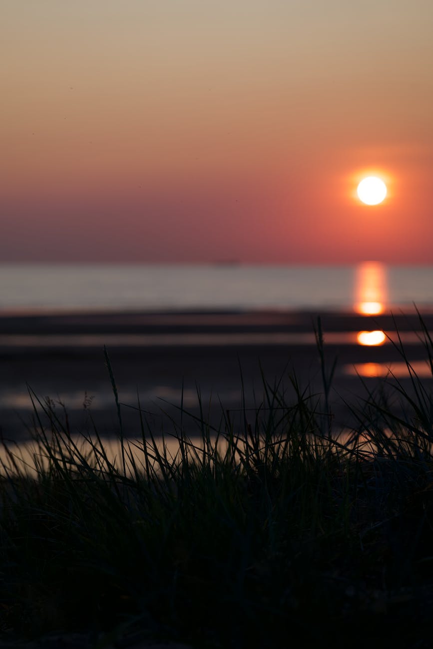 Libérez votre bien-être intérieur avec la conversation hypnotique : Une nouvelle vie de paix et de joie vous attend&nbsp;!