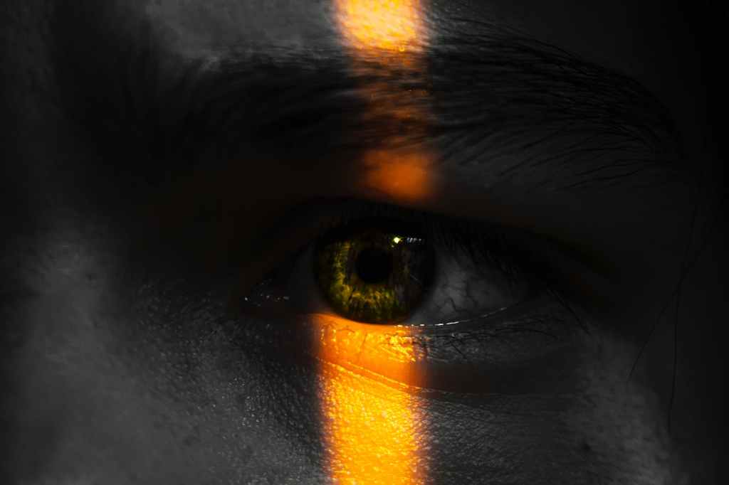 Osez regarder là où personne ne veut vraiment&nbsp;aller