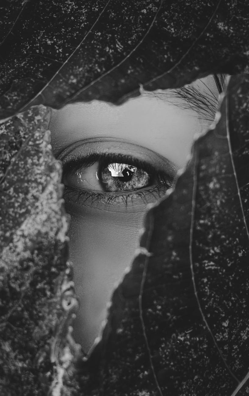 human eye behind the leaf in grayscale photography